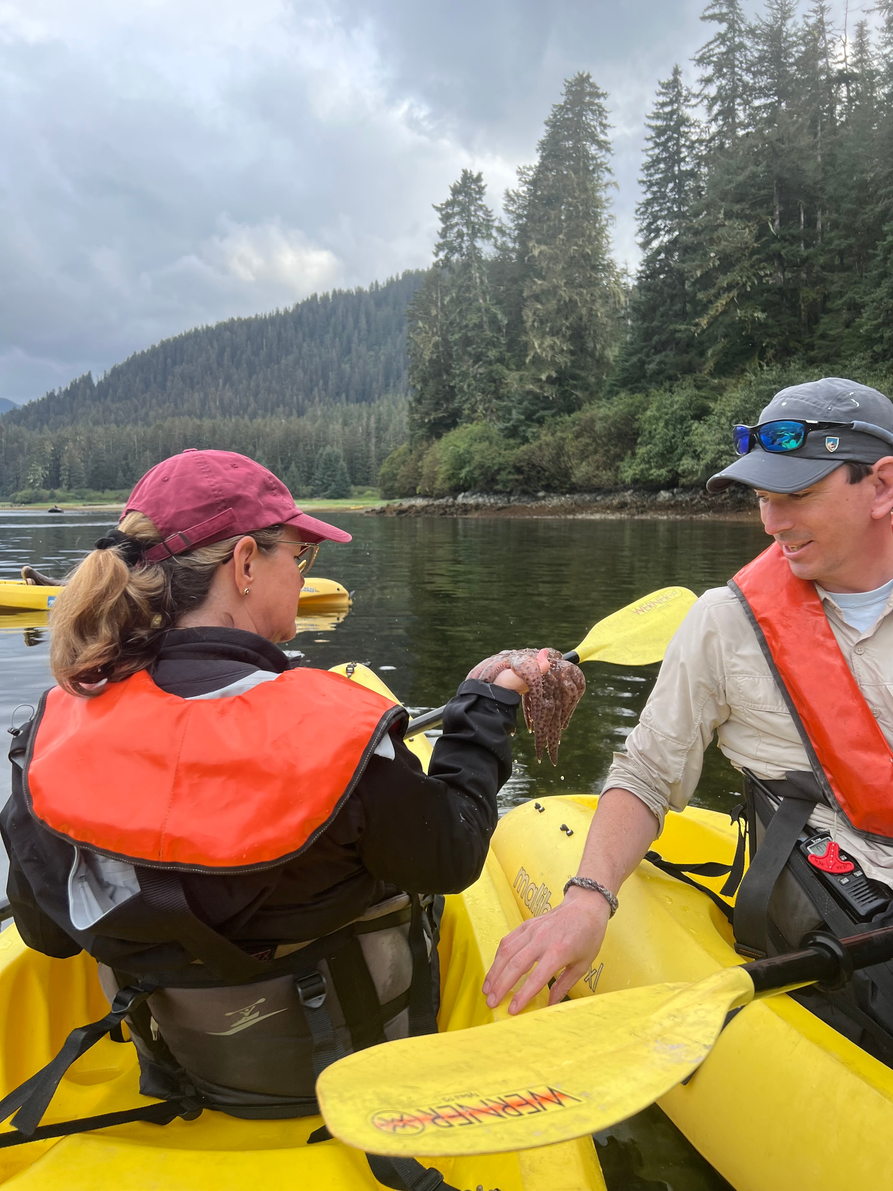 Kayaking through a misty forested fjord